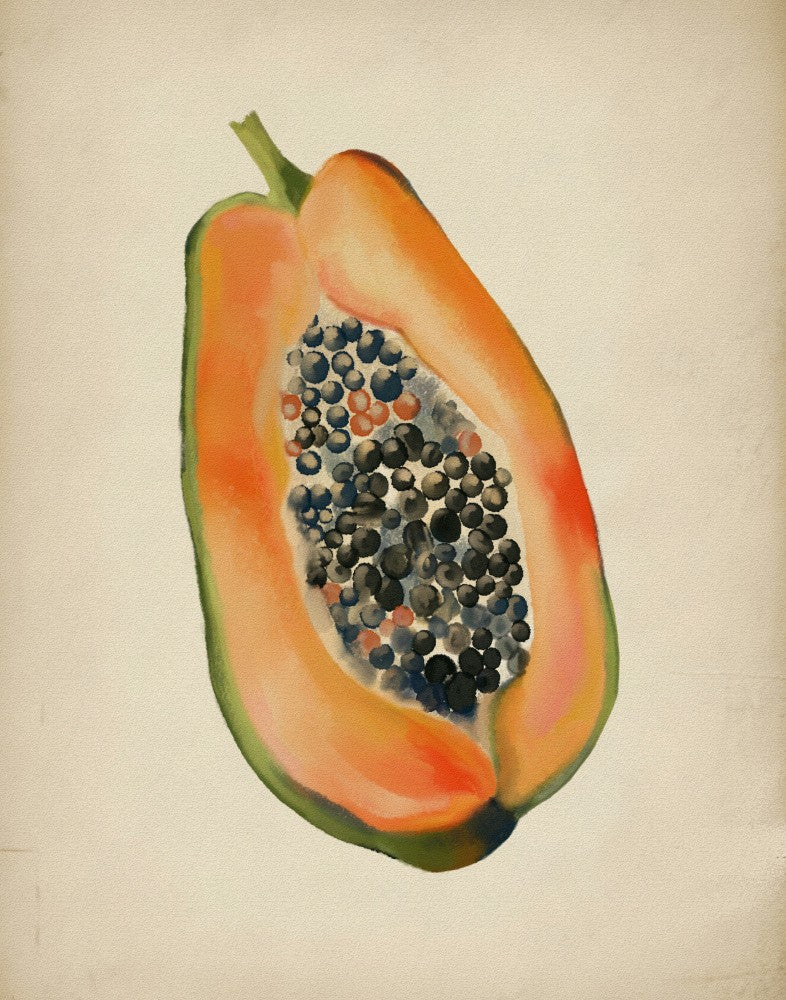 Vintage fruit- Papaya