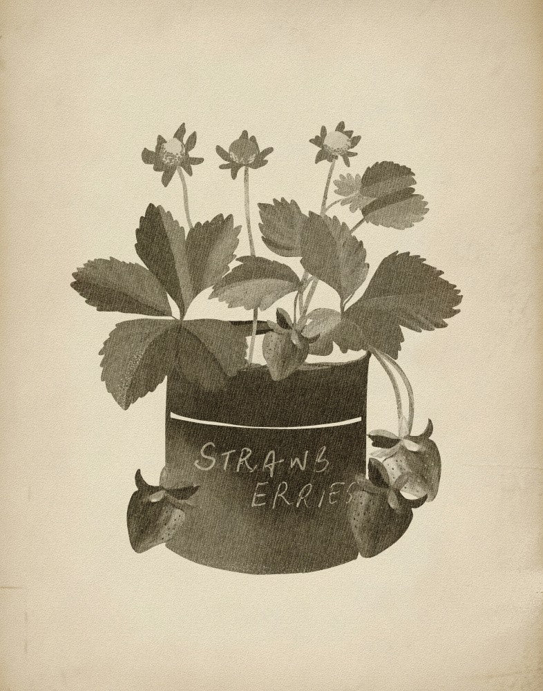 Vintage strawberry plant
