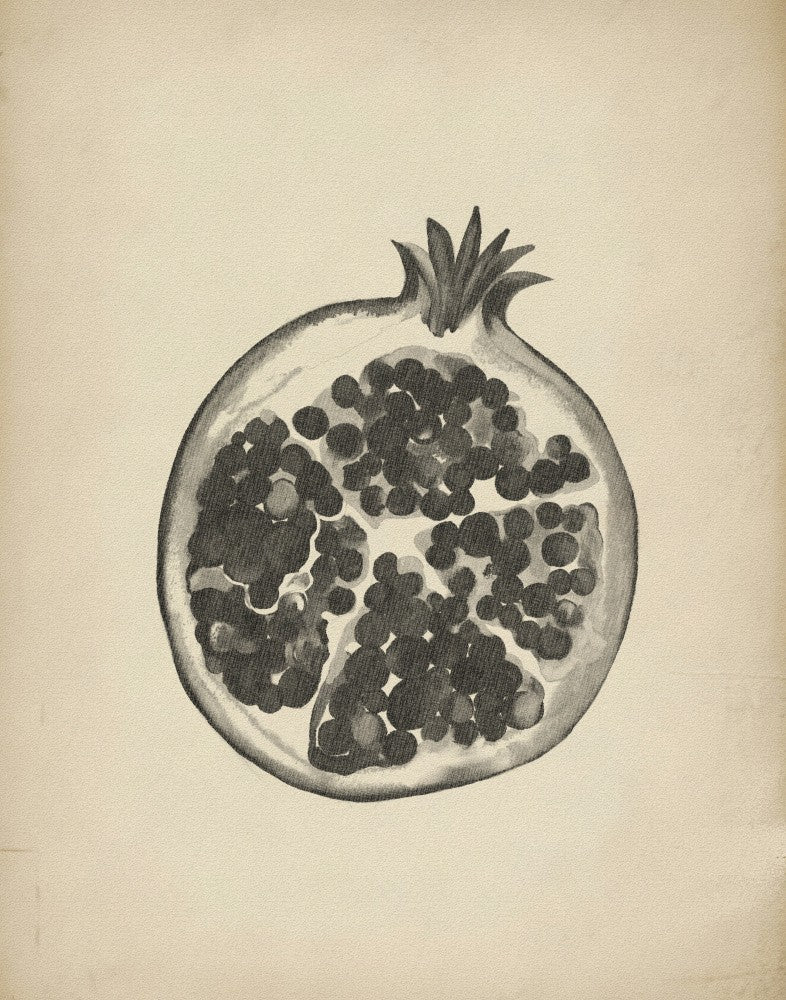 Vintage pomegranate