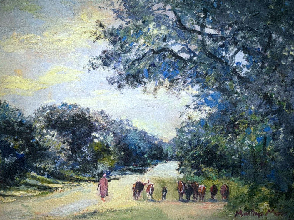 Walking cattle, Tsumeb