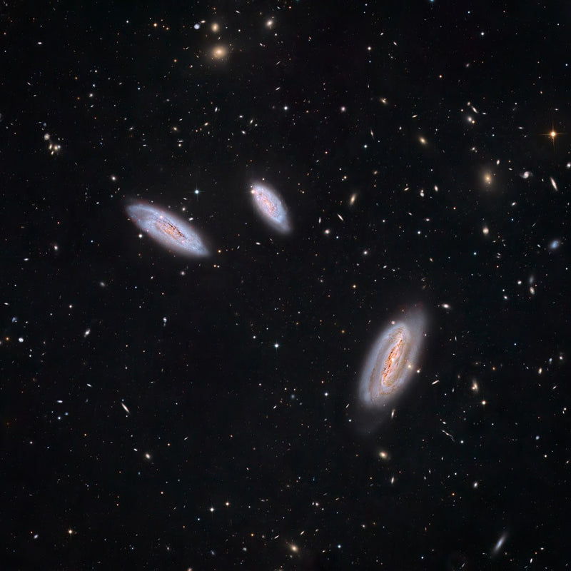 Galaxies in Grus