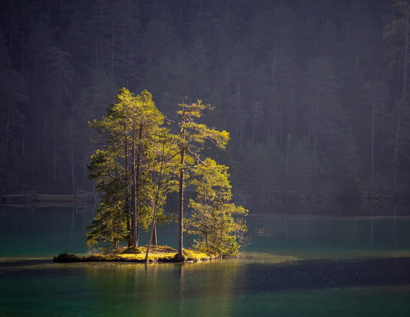 Sunny Island