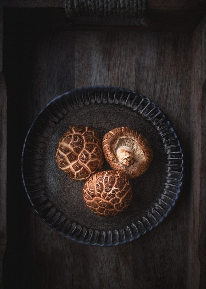 Japanischer Pilz