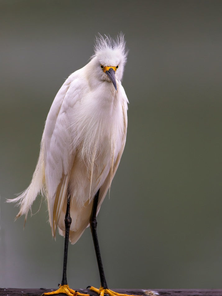 Wet, Muddy and Miserable