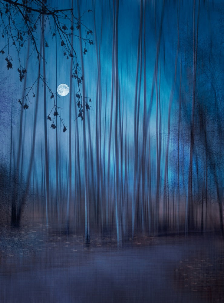 ...scandinavian night...