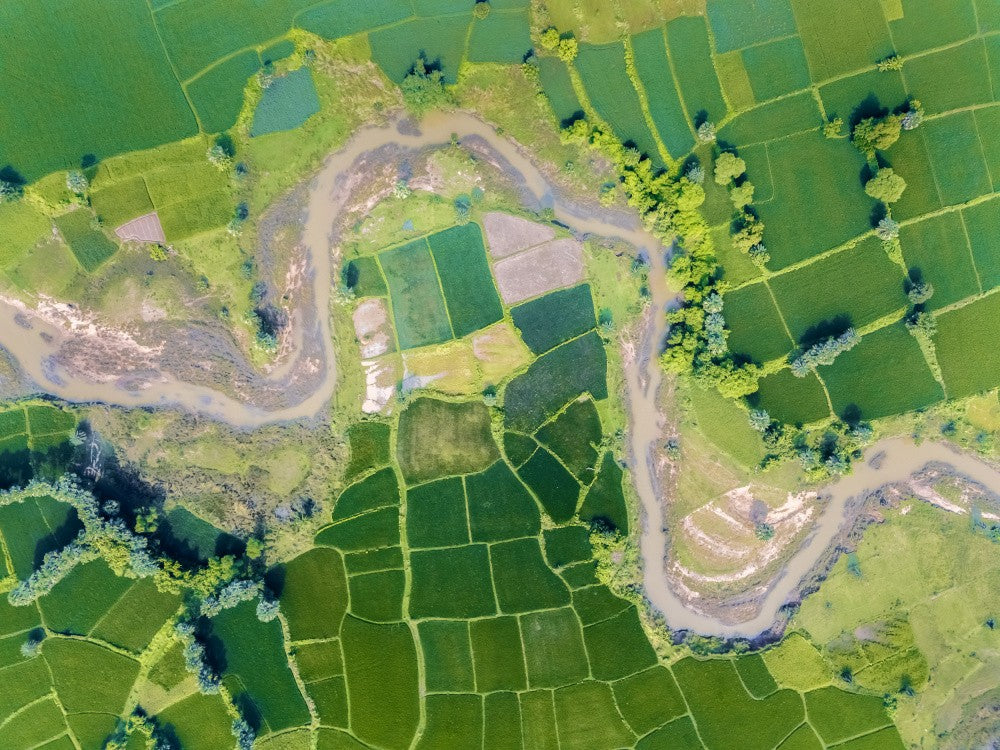 The meandering river