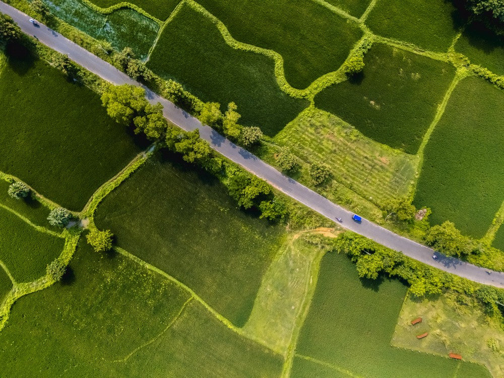 Road through farmlands