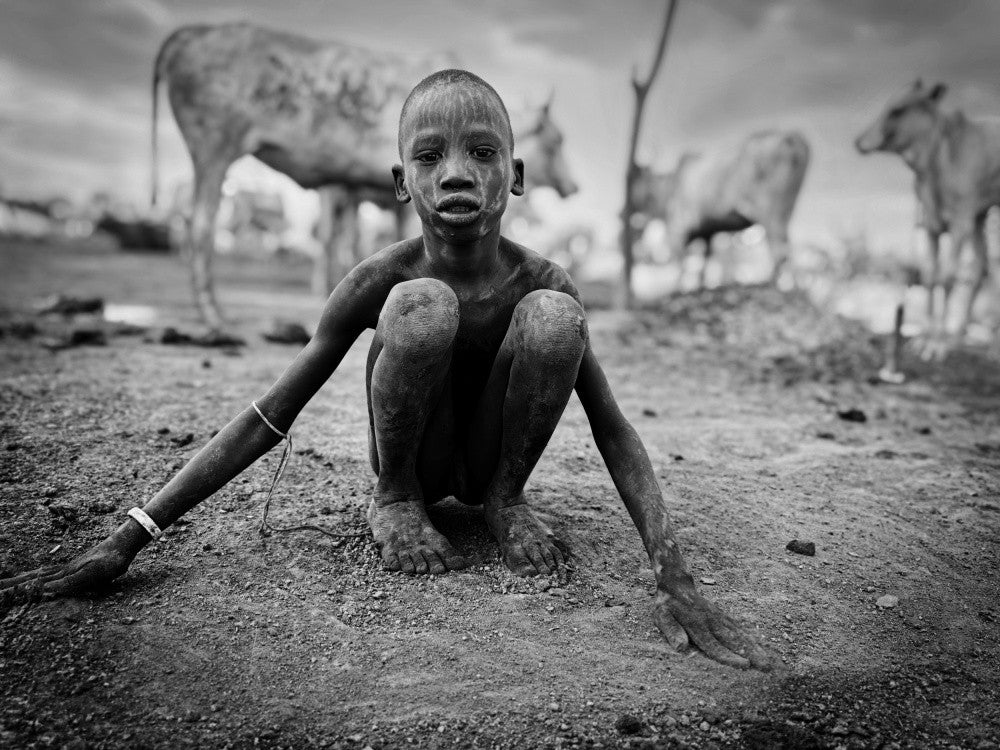 Mundari cattle Coda
