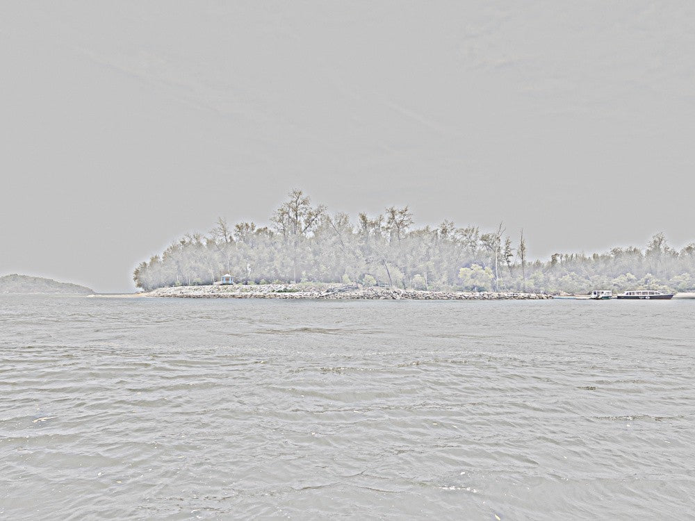 Misty Island View