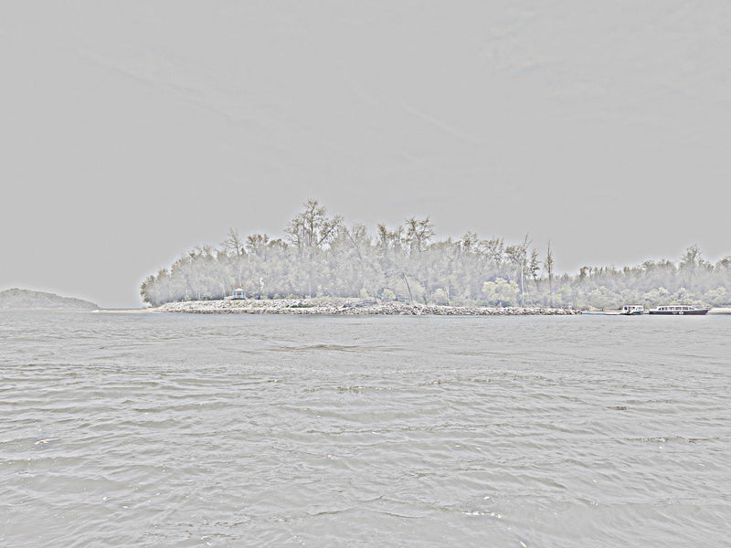 Misty Island View