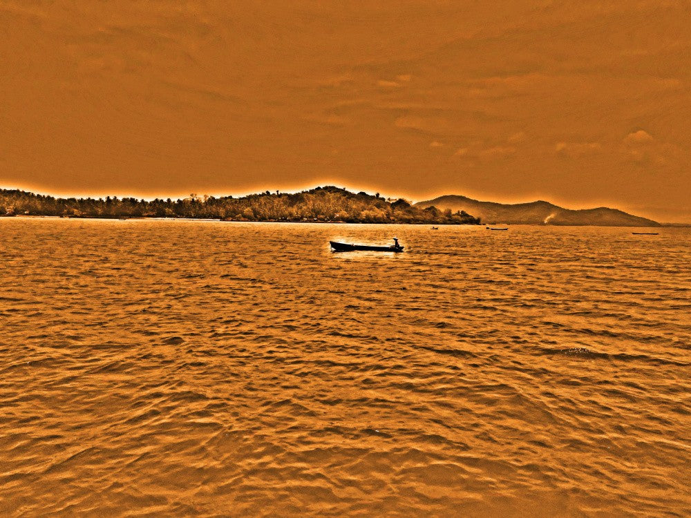 Golden Tranquility
