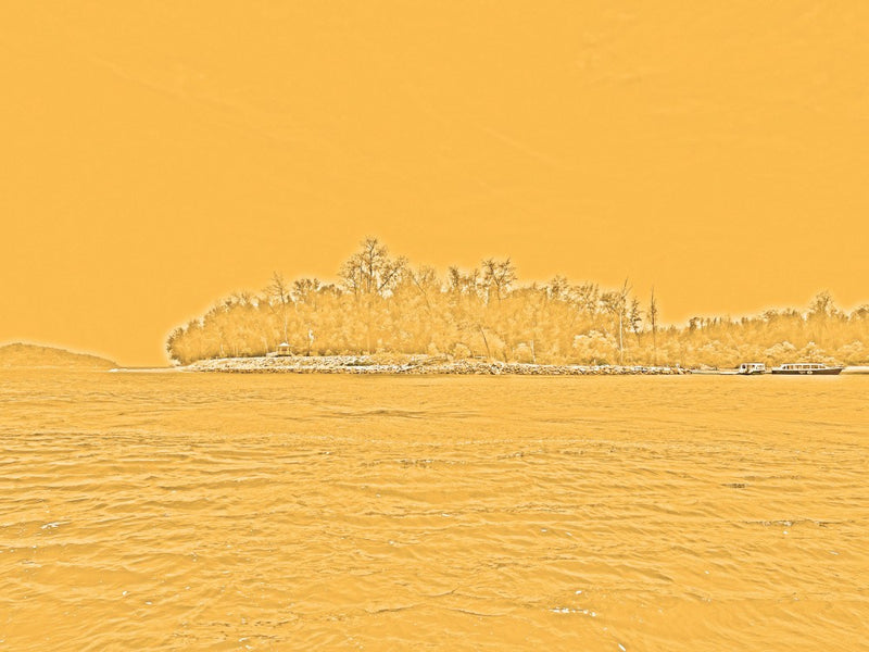 Golden Island View