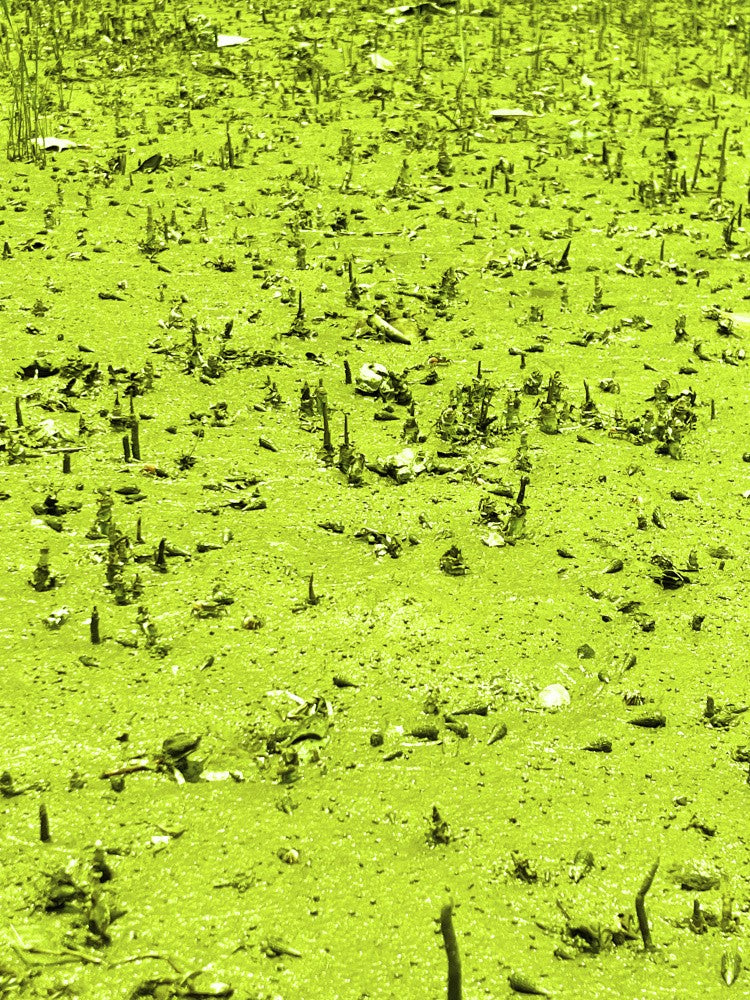 Emerald Surface