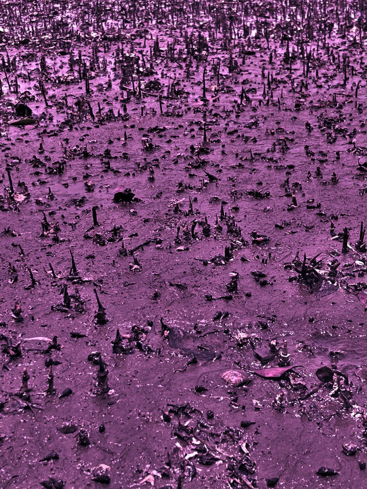 Dreamscape Spikes