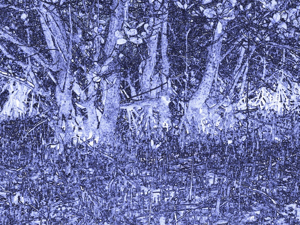 Blue Forest Depths