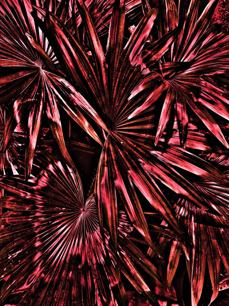 Crimson Palms
