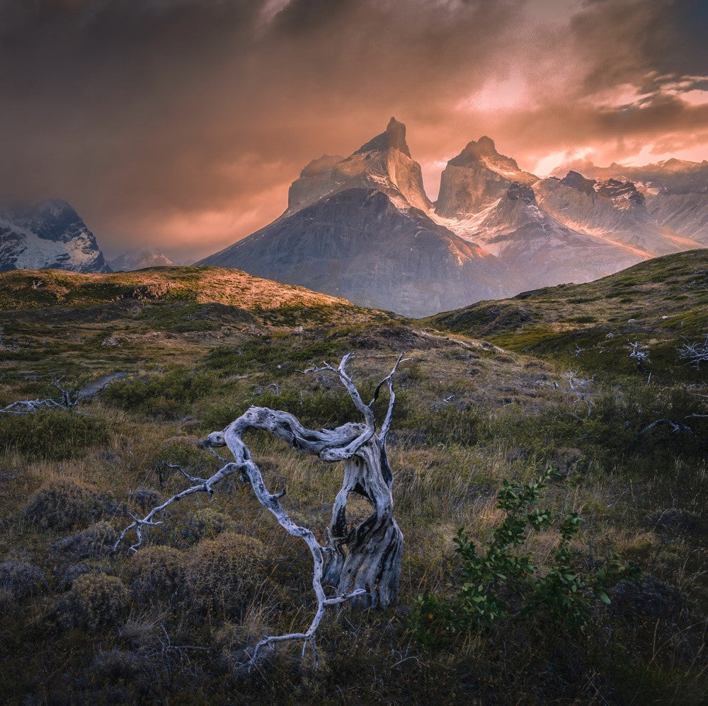 Patagonia sunrise