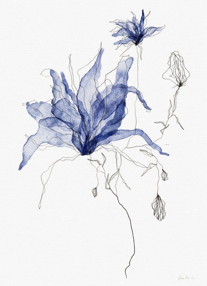 Azure Petal Dance