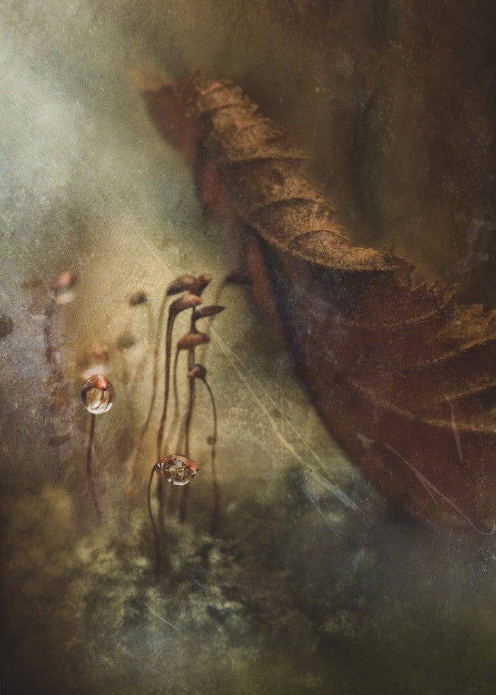 Deep autumn