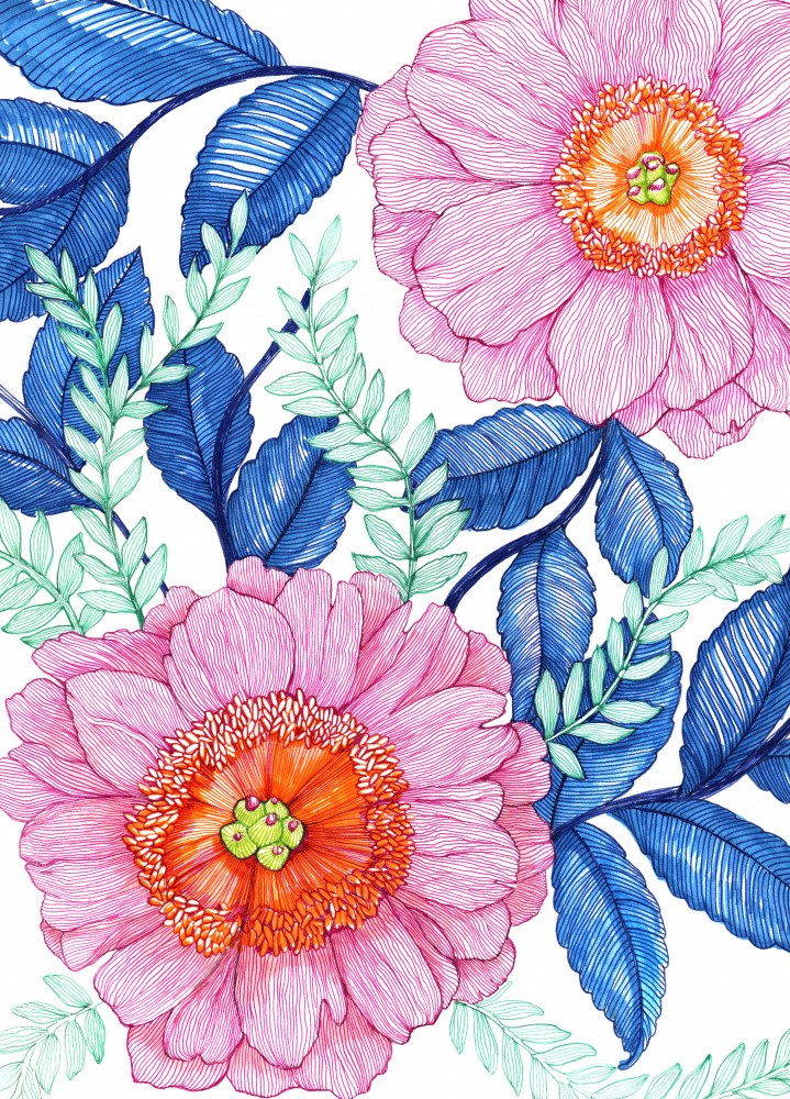 Pink Florals