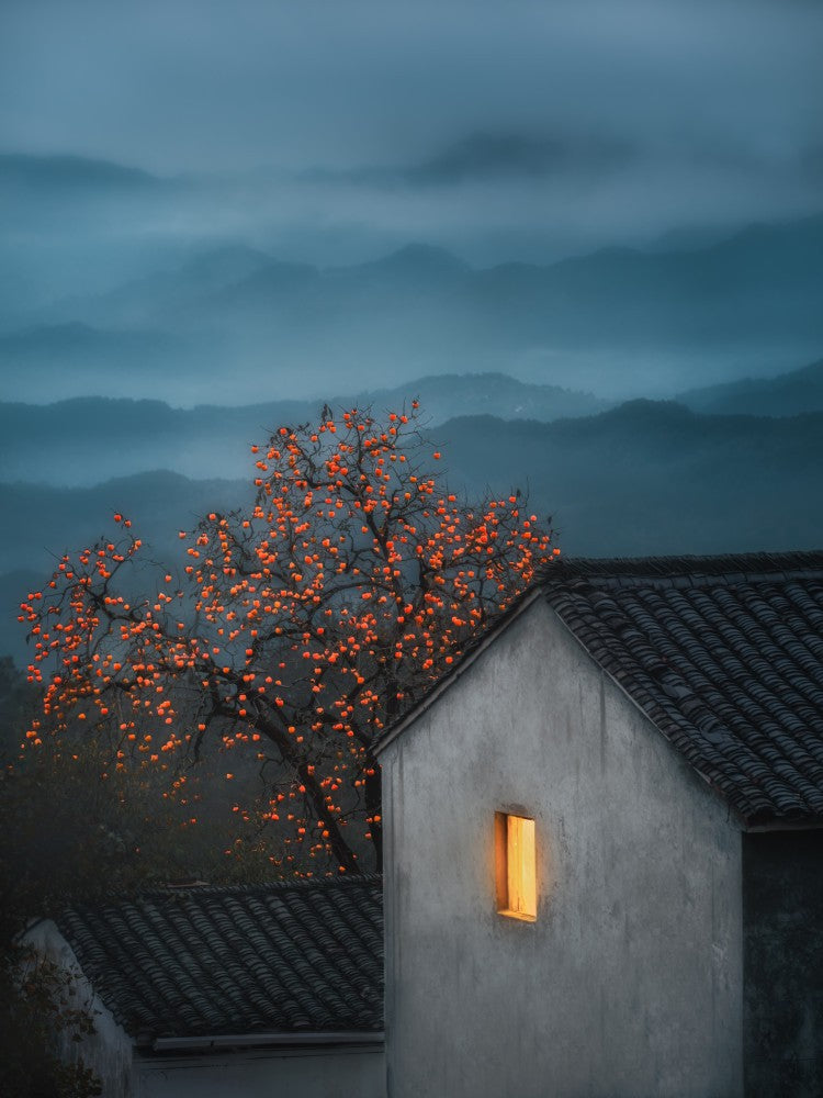 Persimmon, Ruyi