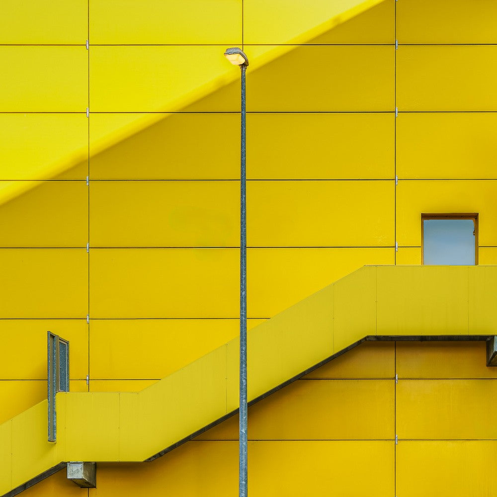 Predominantly yellow