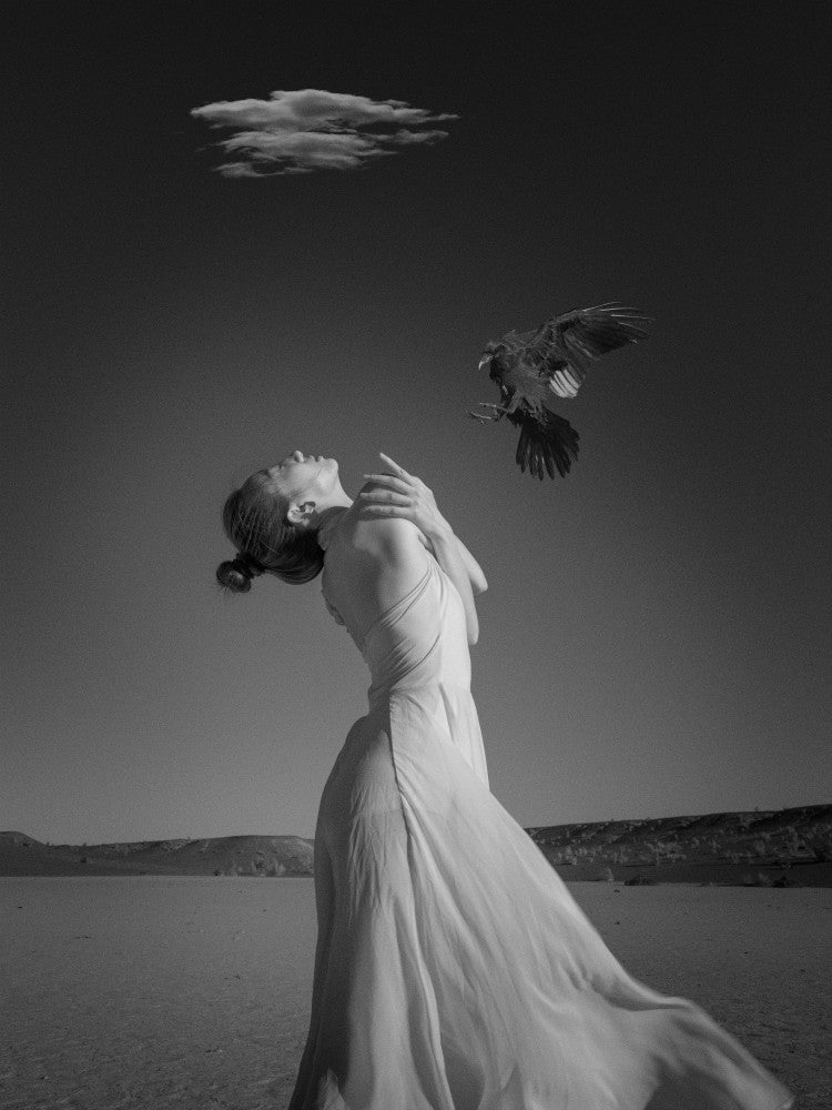 The Season of Waiting for the Wind