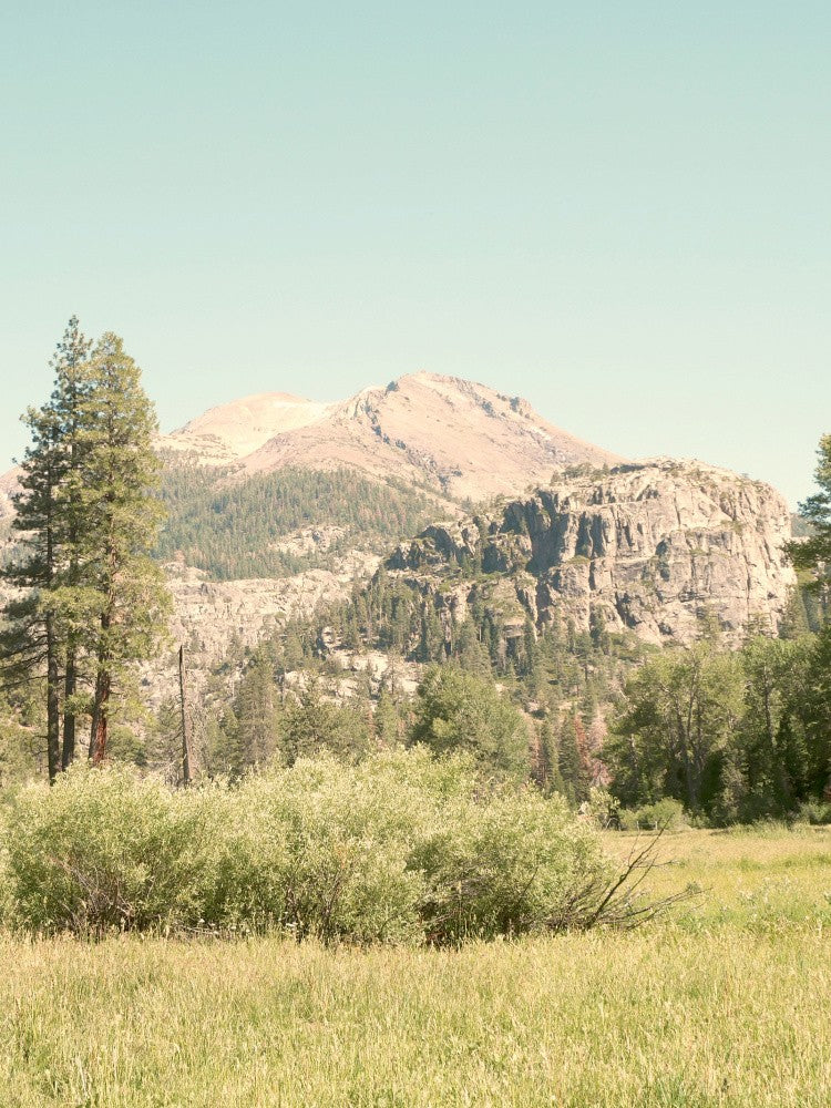 Kennedy Meadows