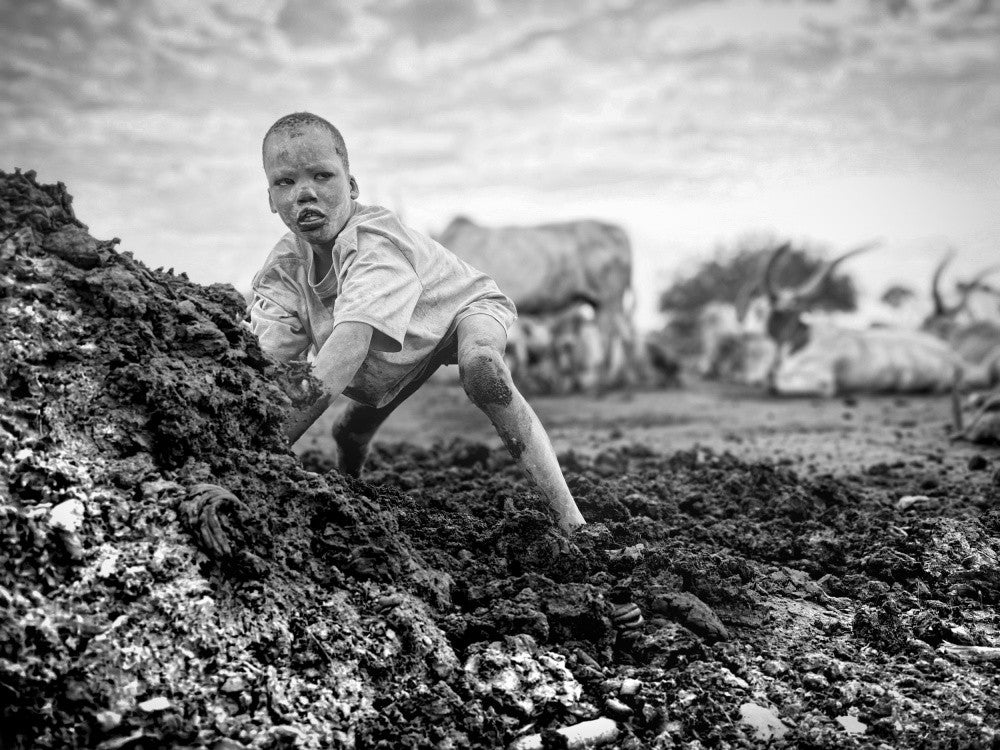 Mundari child collects cow dung