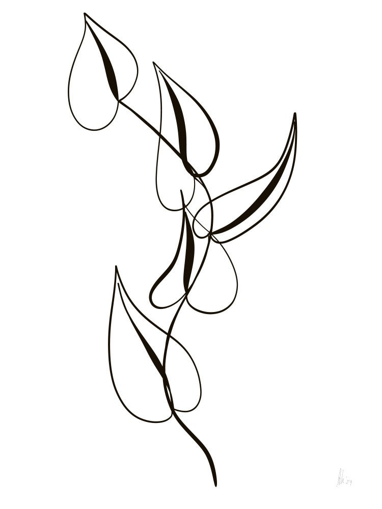 Curved Leaf Lines