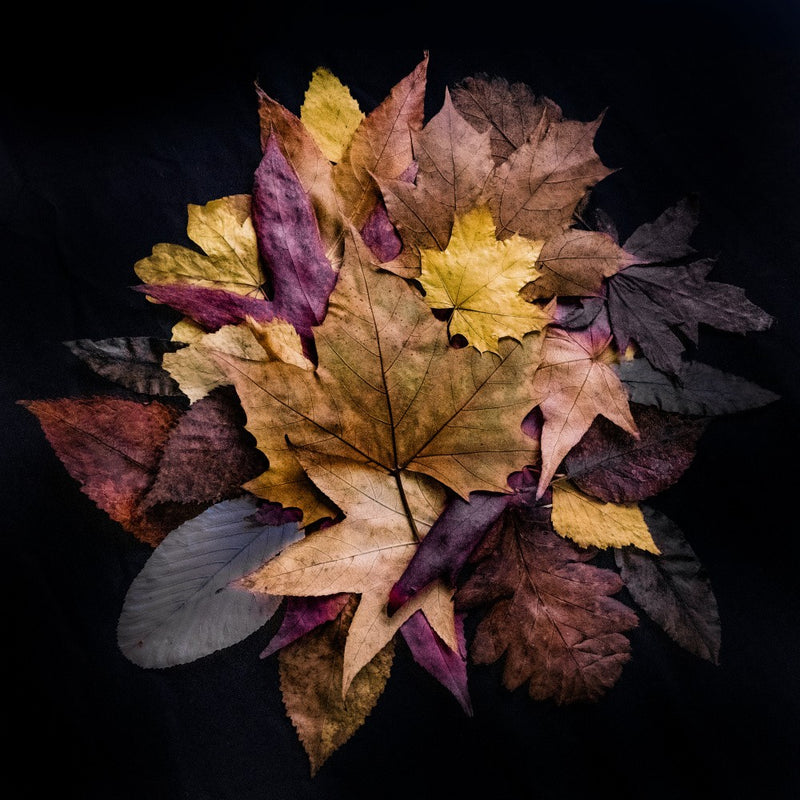 Leaf Bouquet