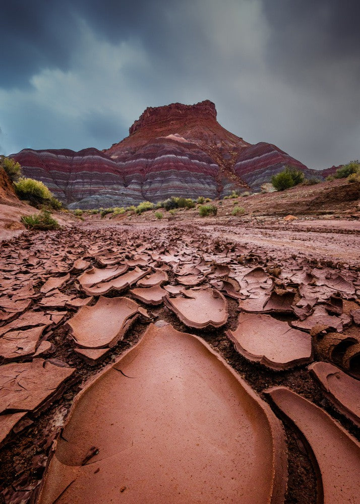 mud cracks
