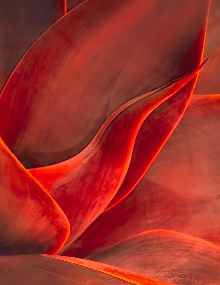 Shades of red