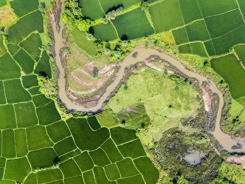 River through fields