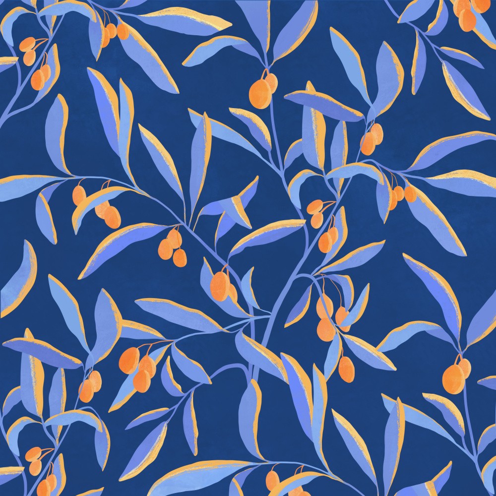Olive Grove