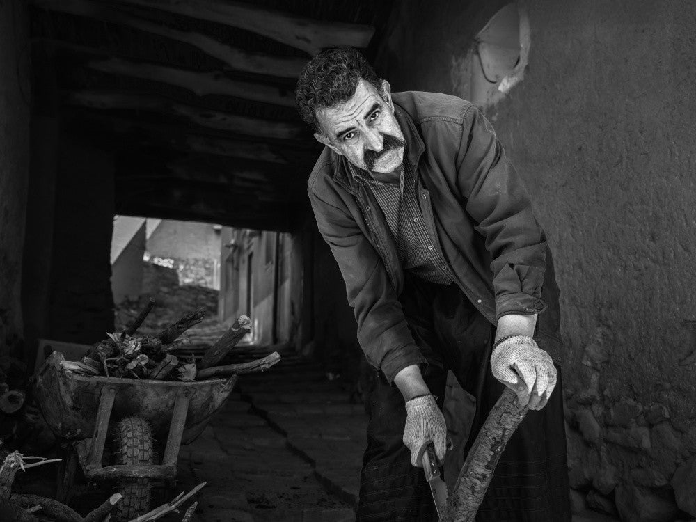 The Woodworker