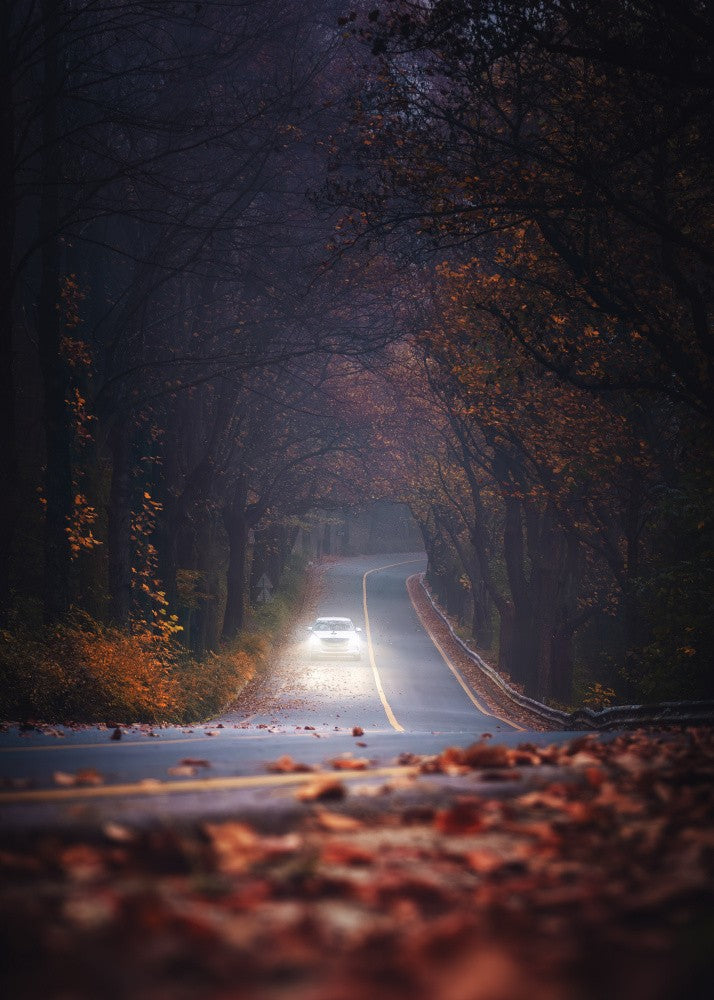 In the late autumn dawn