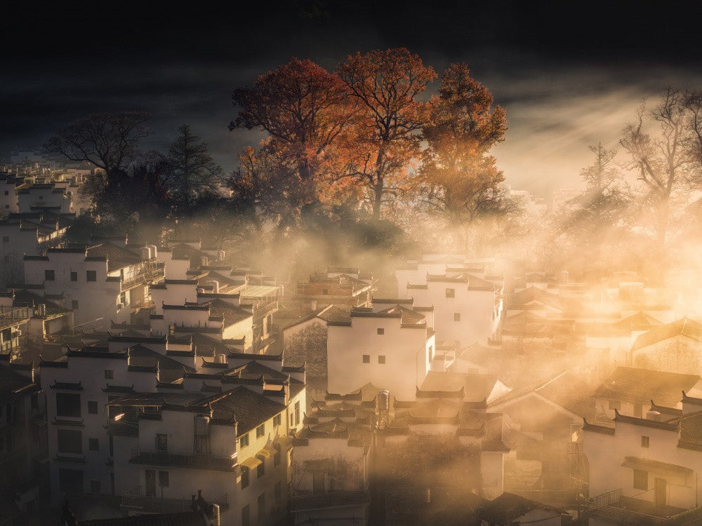 Autumn Dream