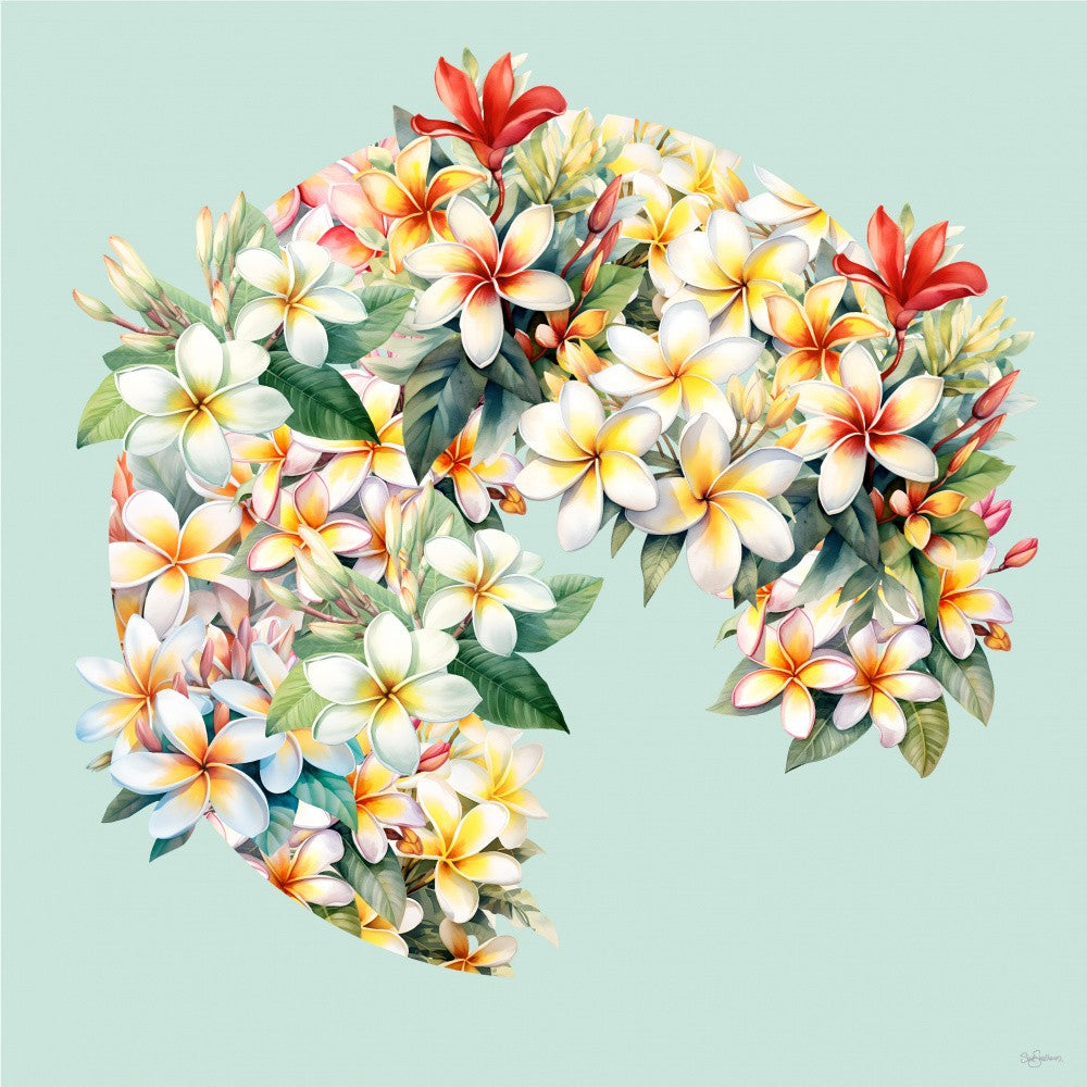 Frangipani