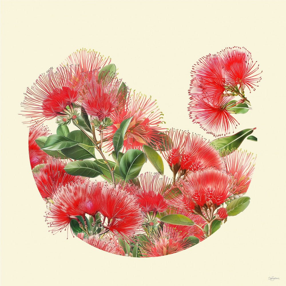 Pohutukawa