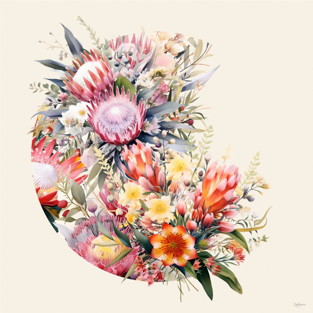 Oz Wildflowers