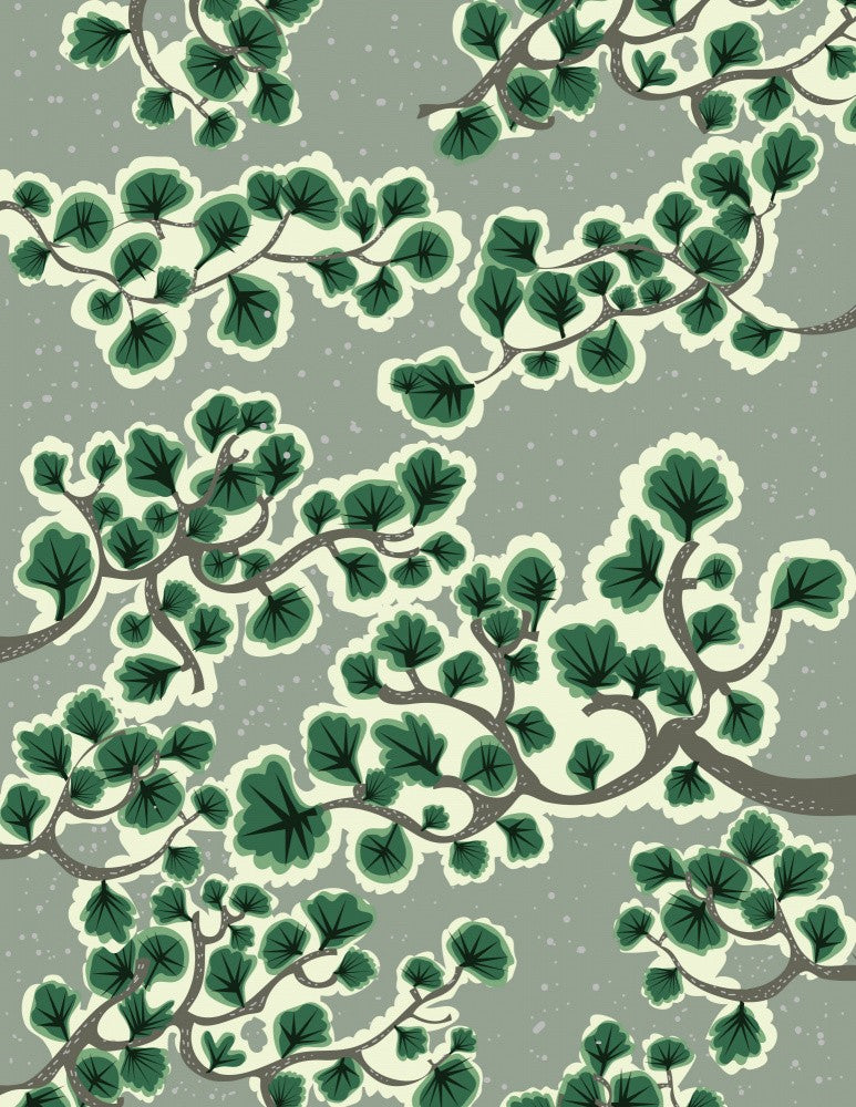 Bonsai Trees