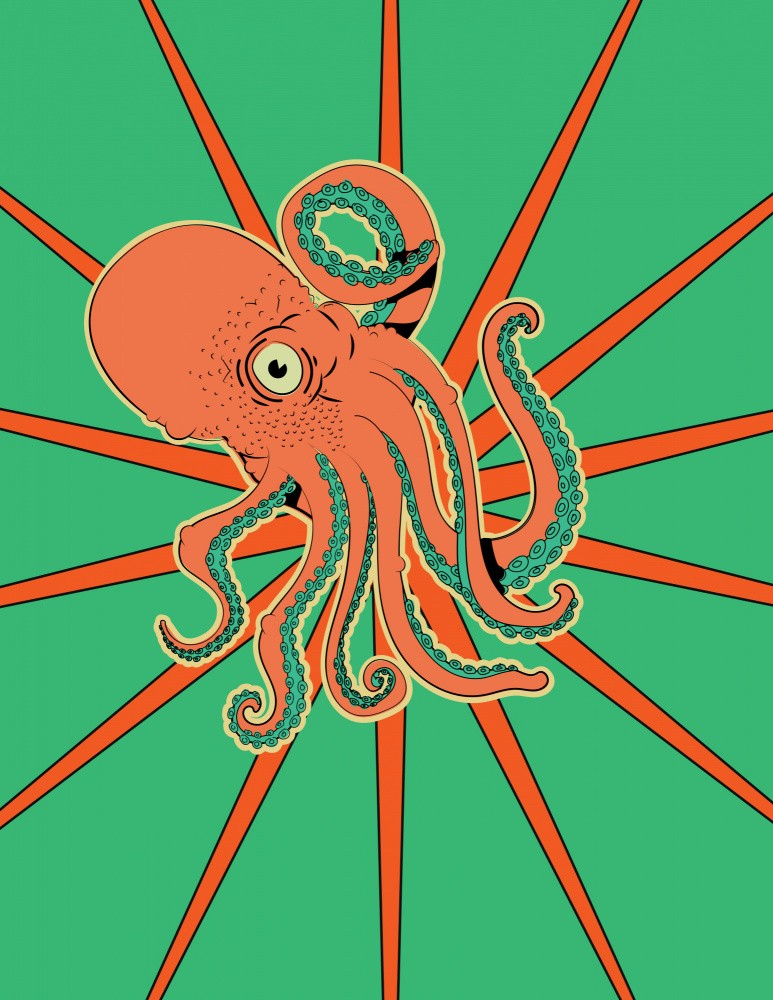 Japan Octopus