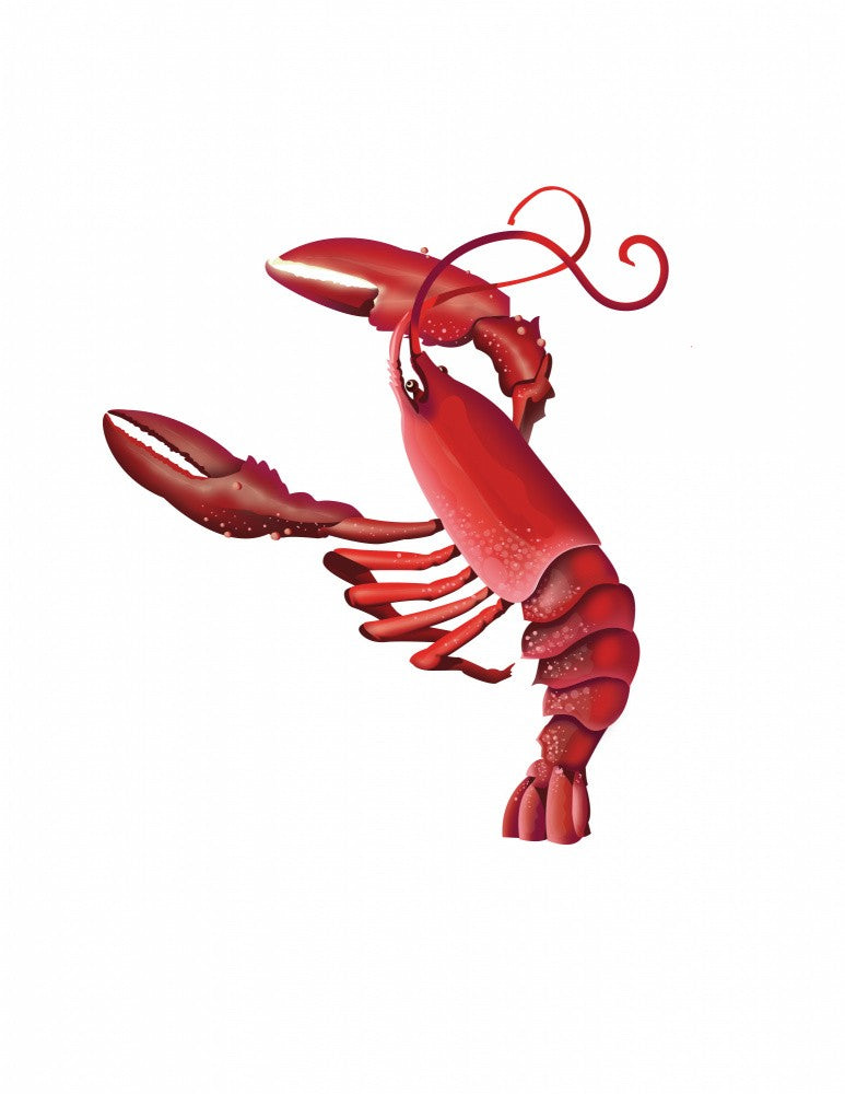 Vibrant Lobster Dance