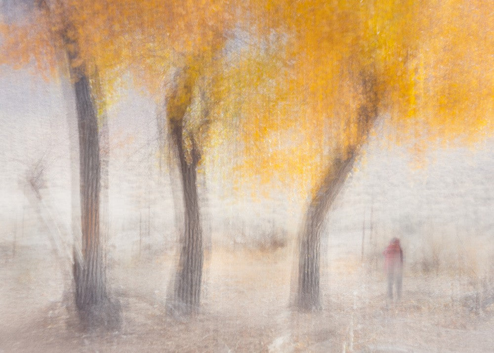 Fall Color