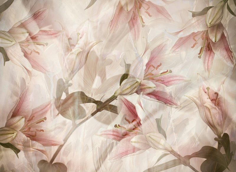 Lilies