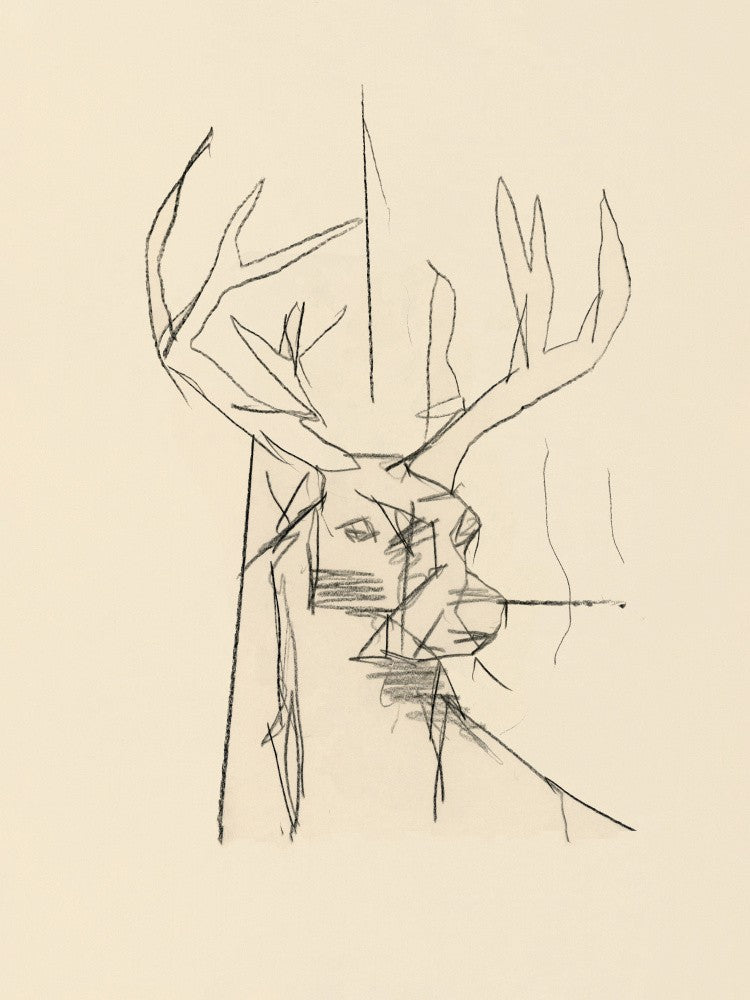 Étude Cerf (stag) No.2