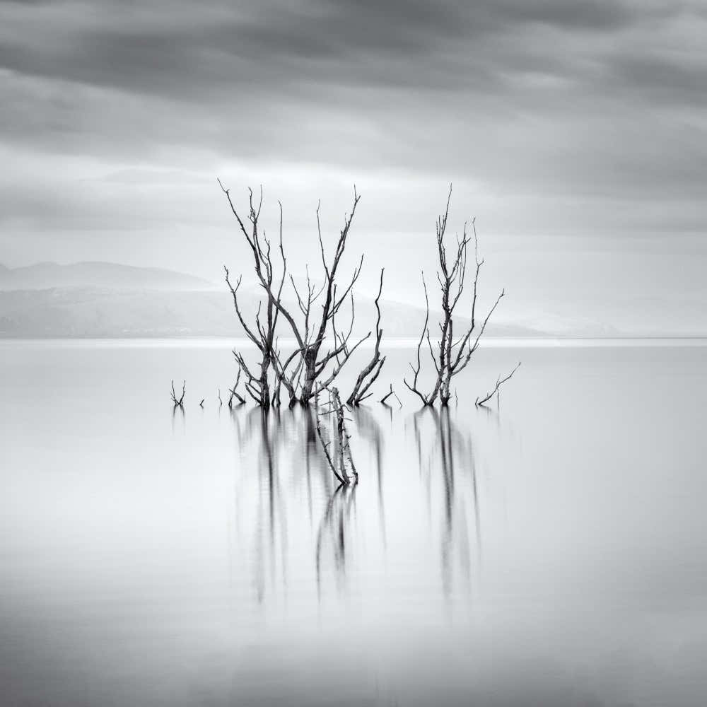 Water Stories II