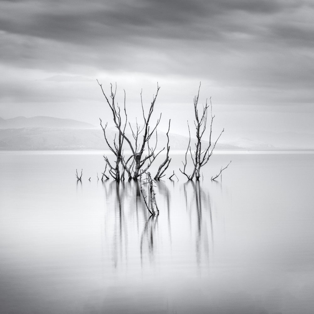 Water Stories II
