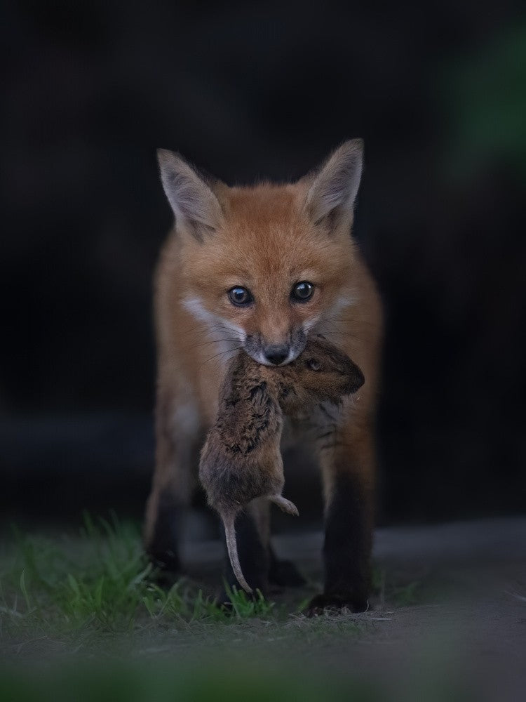A catch
